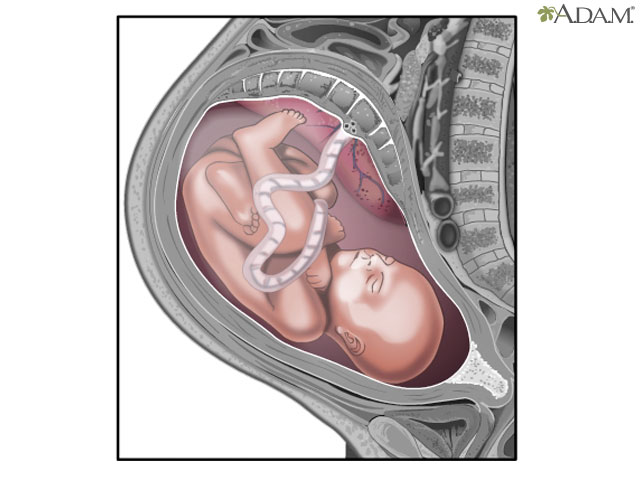 hie-multimedia-the-role-of-amniotic-fluid