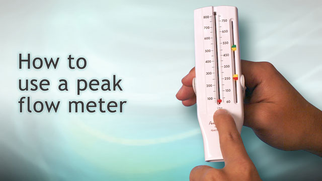 yellow zone peak flow meter