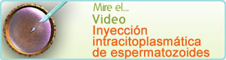 Video de Inyección Intracitoplásmica de Espermatozoides