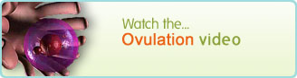 Ovulation Video