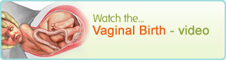 Vaginal Birth animation