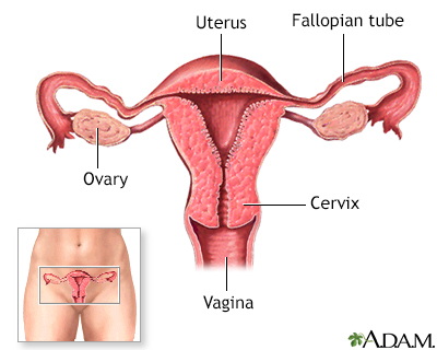 Barrier methods of birth control - Series - Presentation Thumbnail              