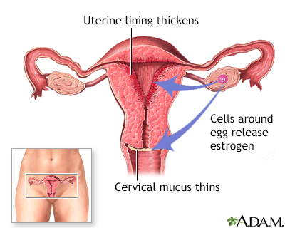 Uzazi Worldwide - Ladies, knowing how your body works is empowering. The  hormones that control your menstrual cycle also make your cervix produce  mucus. Your cervical mucus changes color, texture and amount