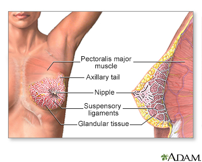Breast pain Information