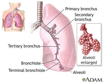 atelectasis alveoli