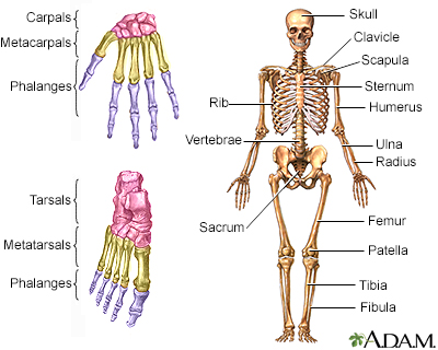 Tibia - Do you know your Tibia - Part IX: Where is Snoopy?