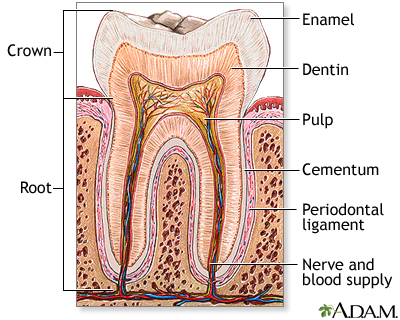 can you swallow fluoride toothpaste