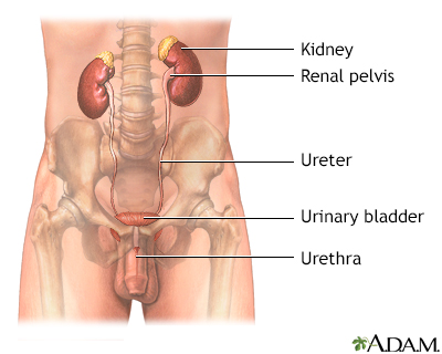 Bladder outlet obstruction Information