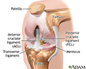 Knee arthroscopy - series