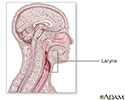 right hand presentation -                          Laryngoscopy - series