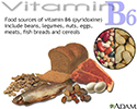 Vitamin B6 source