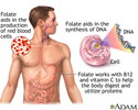Folic acid benefits