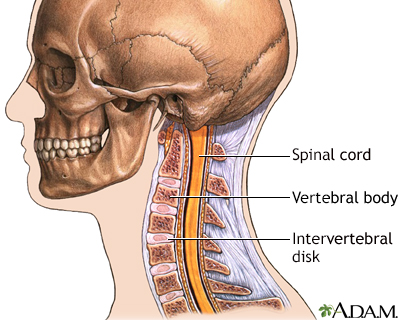 Spinal surgery - cervical - series - Illustration Thumbnail
              