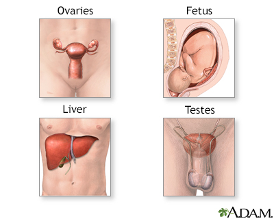 Alpha fetoprotein - series - Presentation Thumbnail
                    