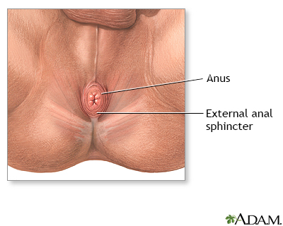 Anal fissure - series