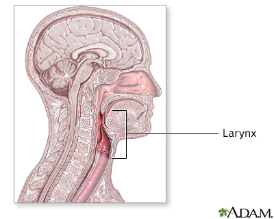 Scar revision - series—Normal anatomy: MedlinePlus Medical