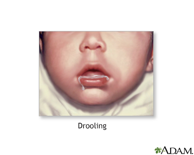 Drooling - Illustration Thumbnail
              