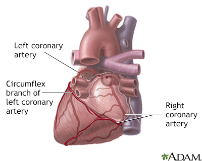 Beating-Heart, Off-Pump Coronary Artery Bypass Surgery - UChicago Medicine