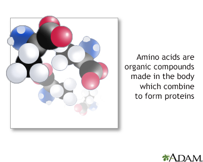 Amino acids - Illustration Thumbnail
                      