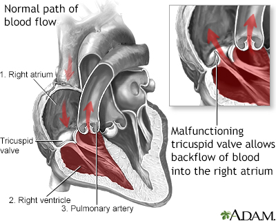 Pregnancy and the Urge to Pee  Huron Regional Medical Center