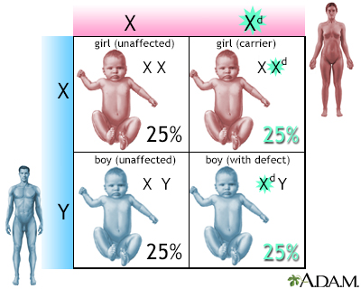 X-linked recessive genetic defects - Illustration Thumbnail
                      