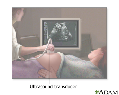 Prenatal ultrasound - series - Illustration Thumbnail
              