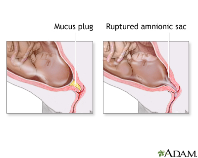 Indications - Body Changes Before Labor 2