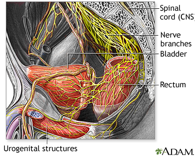 Guillain Barre Syndrome Information Mount Sinai New York