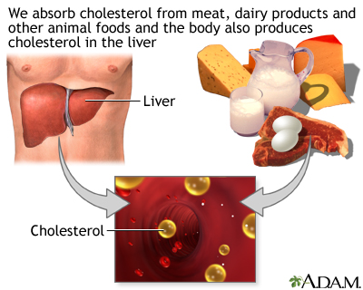 Producteurs de cholestérol