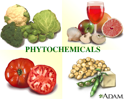 Phytochemicals - Illustration Thumbnail
              