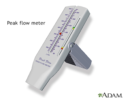 Peak flow meter - Illustration Thumbnail              