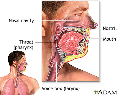 Coronavirus Test Nasal Swab Diagram