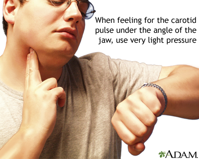 Taking your carotid pulse - Illustration Thumbnail              