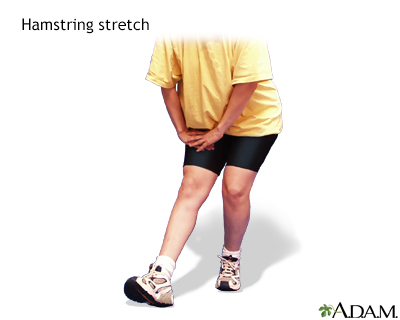 Hamstring stretch - Illustration Thumbnail              