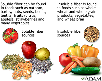 no fiber foods list