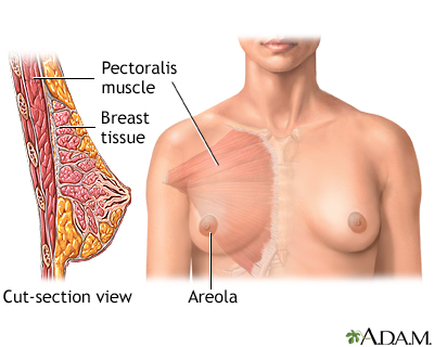 Breast augmentation - series - Normal anatomy - Presentation Thumbnail
              