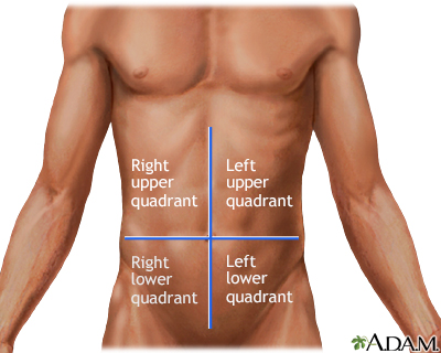 Abdominal quadrants - Illustration Thumbnail
              