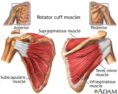 Shoulder clearance