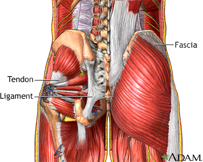 Common causes of muscle pain and how you can address it - Blog