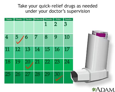 Asthma quick relief drugs - Illustration Thumbnail
              