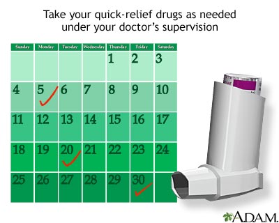 Asthma quick-relief drugs - Illustration Thumbnail
                      