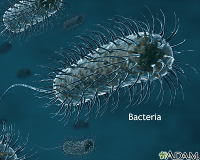 Bacteria - Illustration Thumbnail              