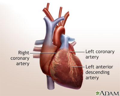 Heart bypass surgery - series - Normal anatomy - Presentation Thumbnail              
