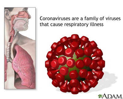 Coronavirus - Illustration Thumbnail
                      