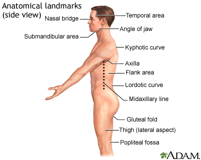 Flank Pain: Symptoms, Causes, and Treatment