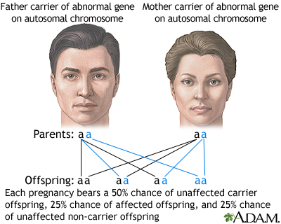 Autosomal recessive - Illustration Thumbnail
                      