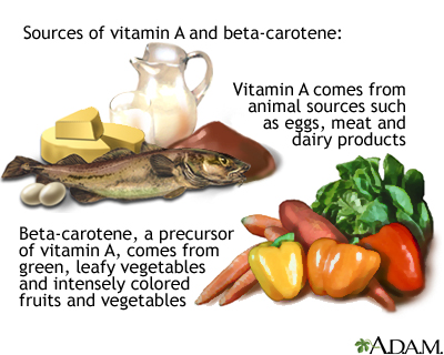 Vitamin A source - Illustration Thumbnail
                      