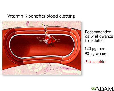 Vitamin K benefit - Illustration Thumbnail
              