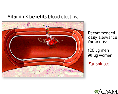 Vitamin K benefit - Illustration Thumbnail
                      