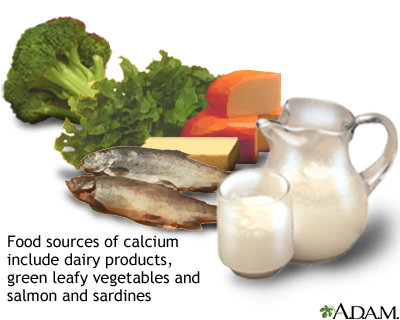 Adult Nutrition - calcium, food, needs, body, diet, absorption,  carbohydrate, health, fat